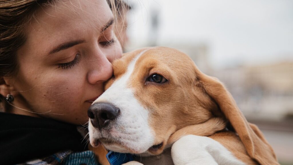 O que significa sonhar com cachorro