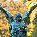 Anjo número 555 Impactos e lei da atração