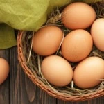 Sonhar com ovo - Dinheiro Renovação O que significa