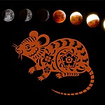 Descubra seu horóscopo chinês online