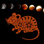 Descubra seu horóscopo chinês online