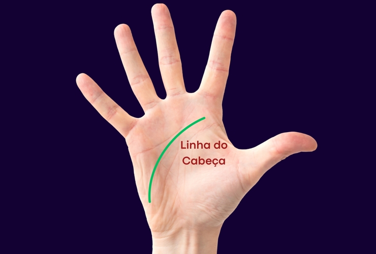 Interpretação da linha cabeça