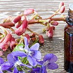 Rescue Remedy, para que serve Descubra como esse remédio pode te ajudar