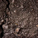 Sonhar com terra, revelando significados ocultos e conexões espirituais