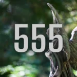 555 descortinando o significado angelical